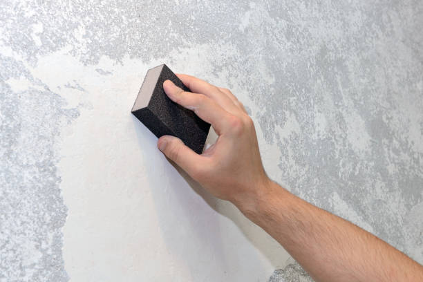 Best Emergency Mold Remediation  in Pinetop Lakeside, AZ