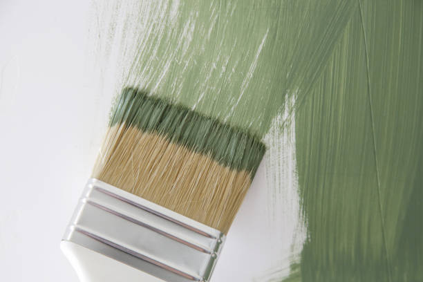 Best Basement Mold Removal  in Pinetop Lakeside, AZ