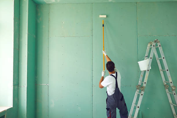 Reliable Pinetop Lakeside, AZ Mold Removal Solutions