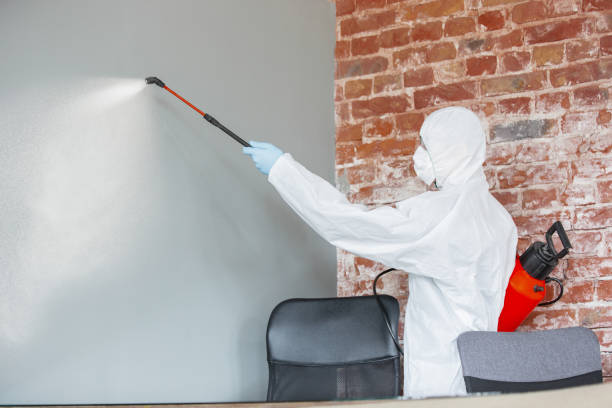 Best Post-Construction Mold Inspection  in Pinetop Lakeside, AZ
