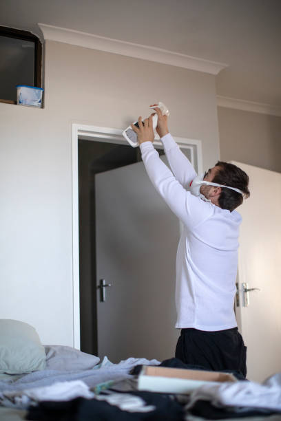 Best Environmental Consulting for Mold Prevention  in Pinetop Lakeside, AZ