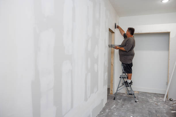 Best Forensic Mold Investigation  in Pinetop Lakeside, AZ