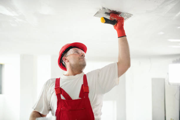 Best Mold Remediation for Healthcare Facilities  in Pinetop Lakeside, AZ